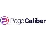 PageCaliber Profile Picture