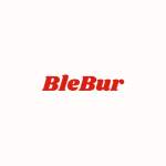 blebur Profile Picture