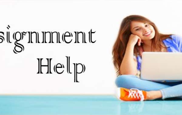 Assignment Help Singapore: Navigating Excellence in Academia