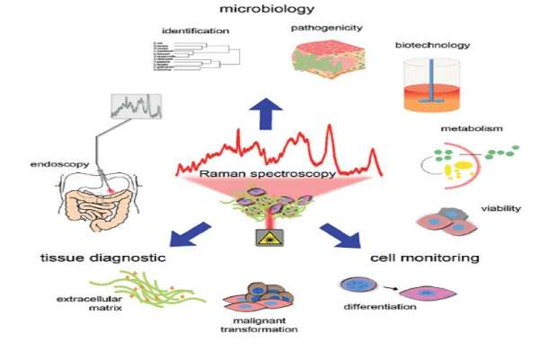 Biophysical Analysis Aimed at Biomedical Research