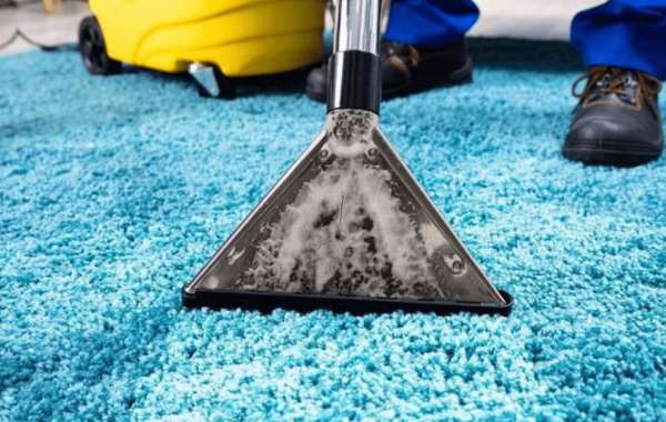 Professional Carpet Cleaning: The Key to a Healthy Home