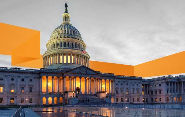 Federal Networks: Essential Infrastructure for Government Operations